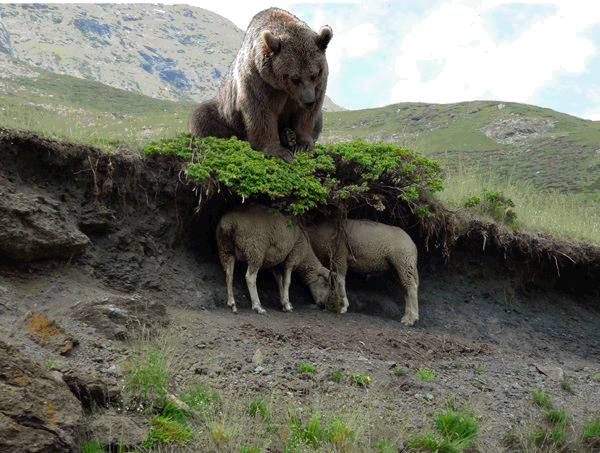 Aucun fait de nature violente